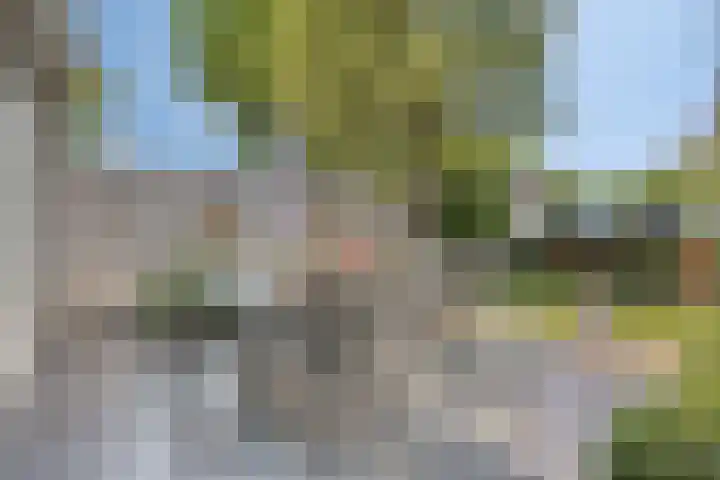 Schoolstraat 22 Beek en Donk thumbnail 23