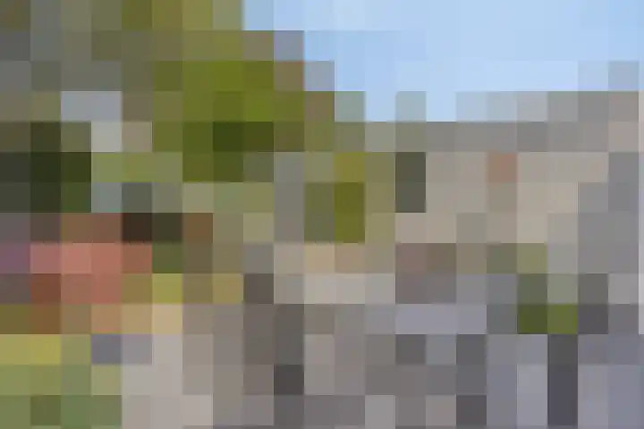 Schoolstraat 22 Beek en Donk thumbnail 24