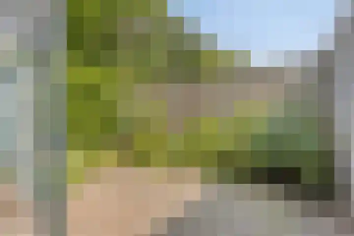 Schoolstraat 22 Beek en Donk thumbnail 25