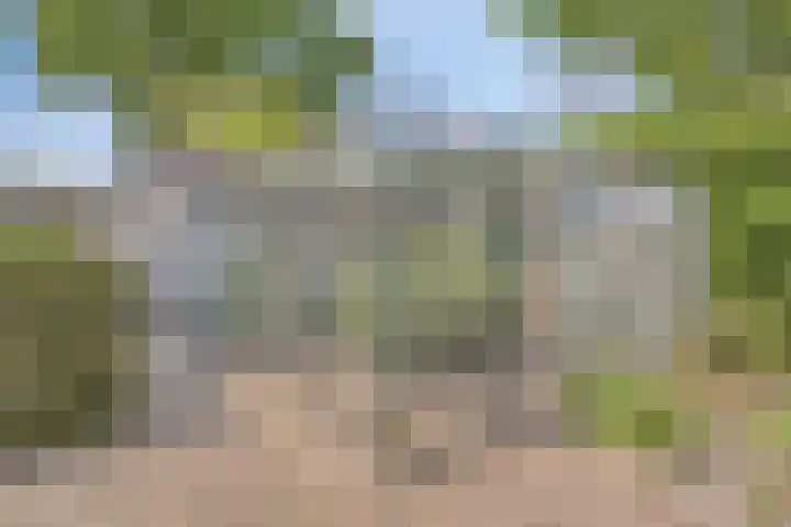 Schoolstraat 22 Beek en Donk thumbnail 26