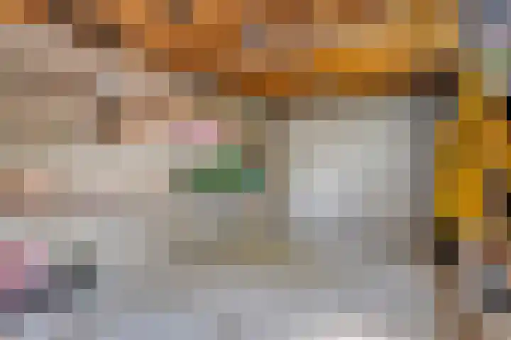 Schoolstraat 22 Beek en Donk thumbnail 41