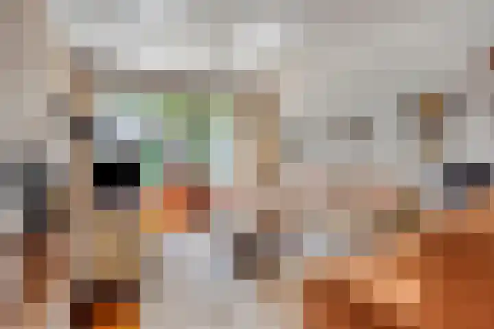 Schoolstraat 22 Beek en Donk thumbnail 9