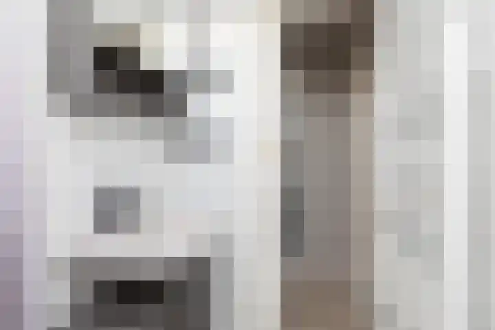 Schoolstraat 22 Burgwerd thumbnail 21
