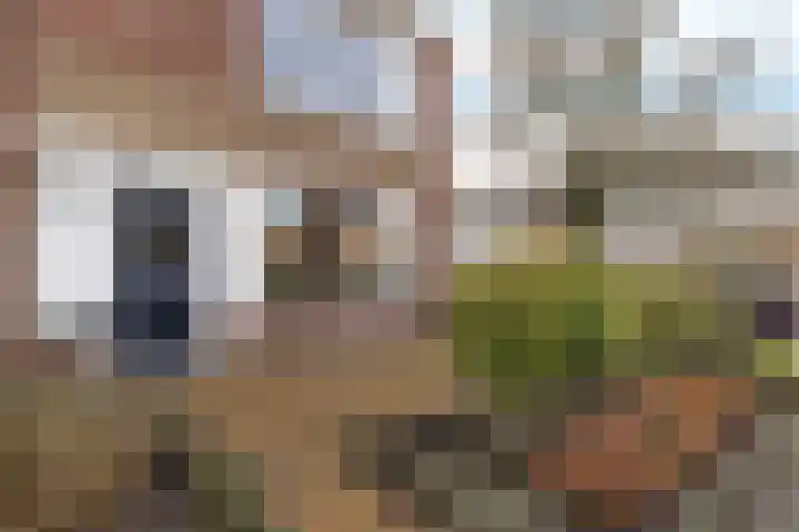 Schoolstraat 22 Genemuiden thumbnail 7