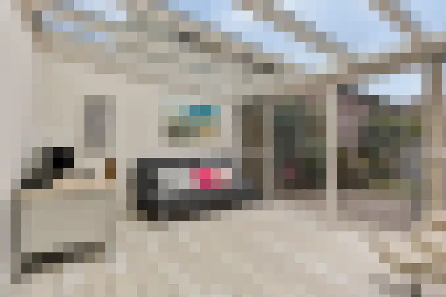 Schoolstraat 22 Moergestel thumbnail 23