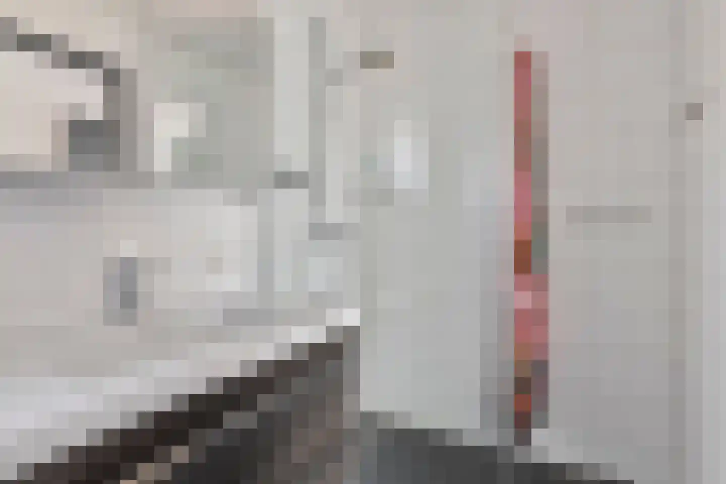Schoolstraat 22 Moergestel thumbnail 40