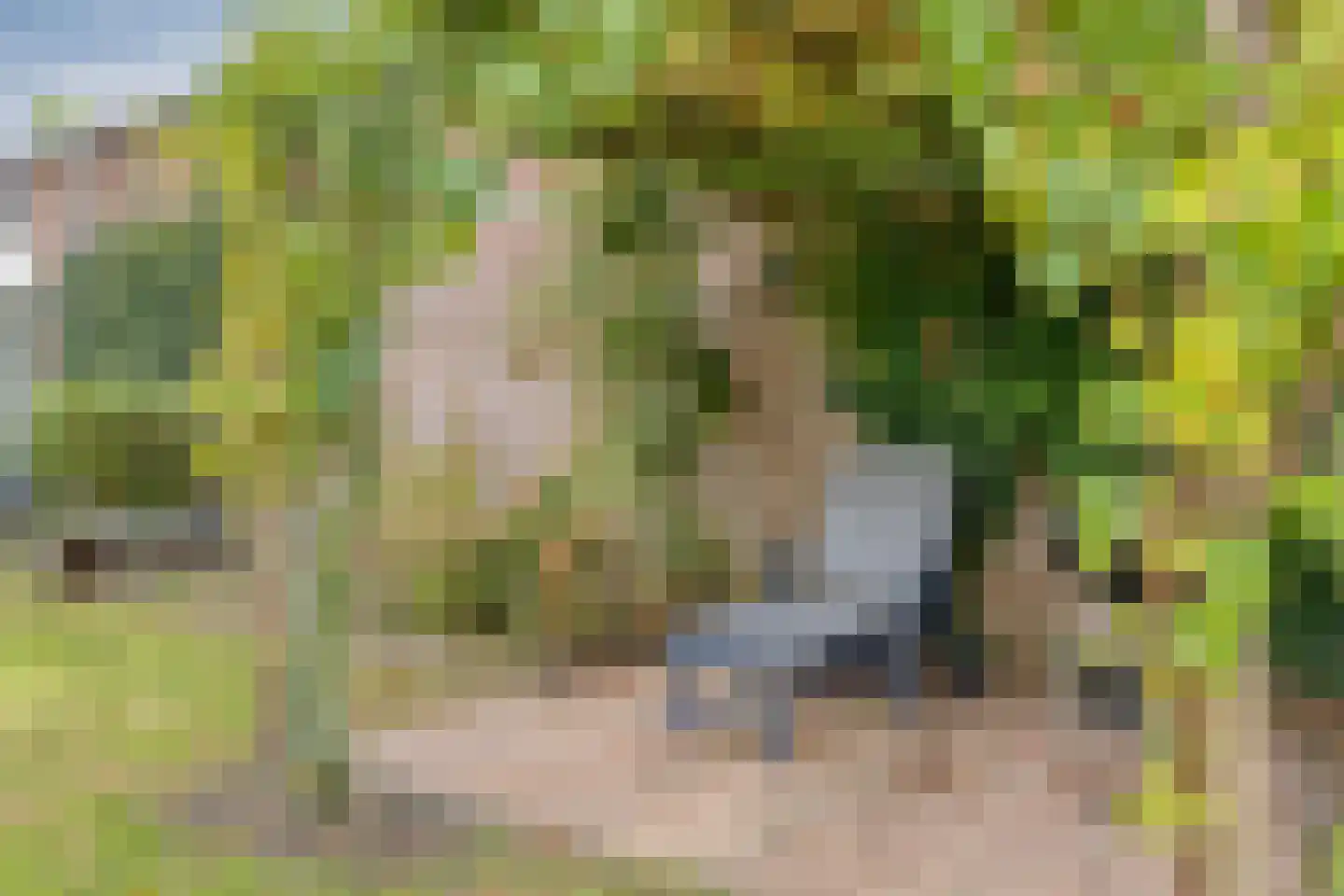 Schoolstraat 22 Moergestel thumbnail 51