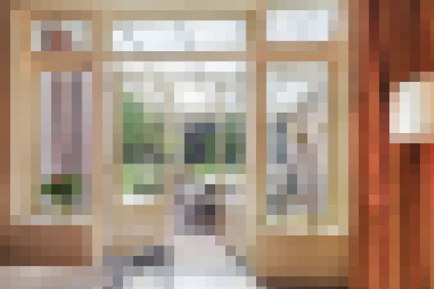 Schoolstraat 22 Oisterwijk thumbnail 14