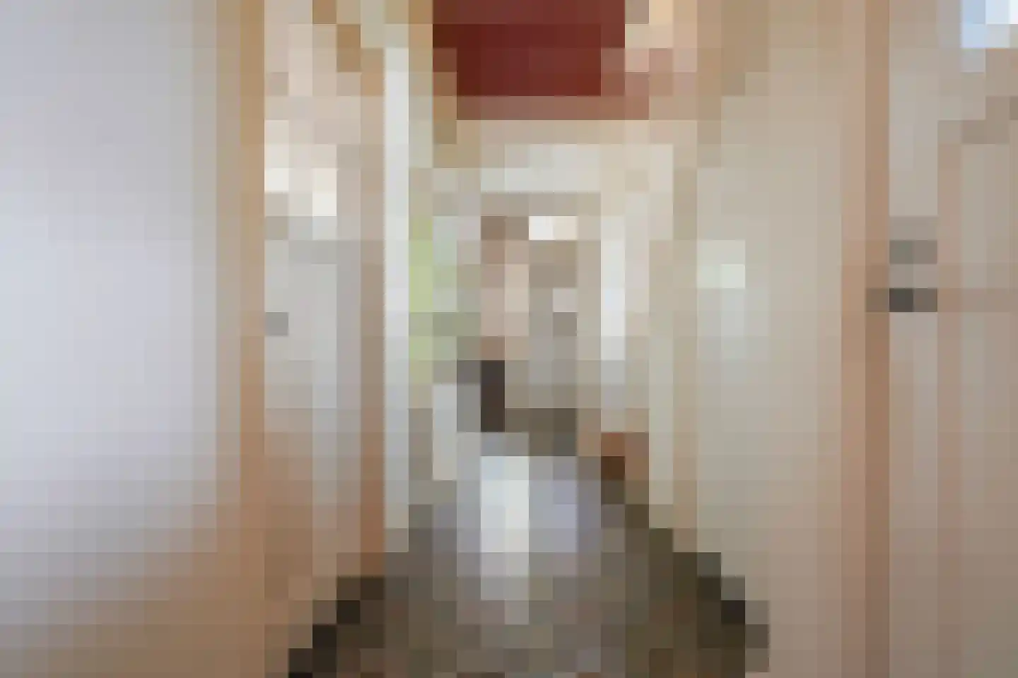 Schoolstraat 22 Oisterwijk thumbnail 4