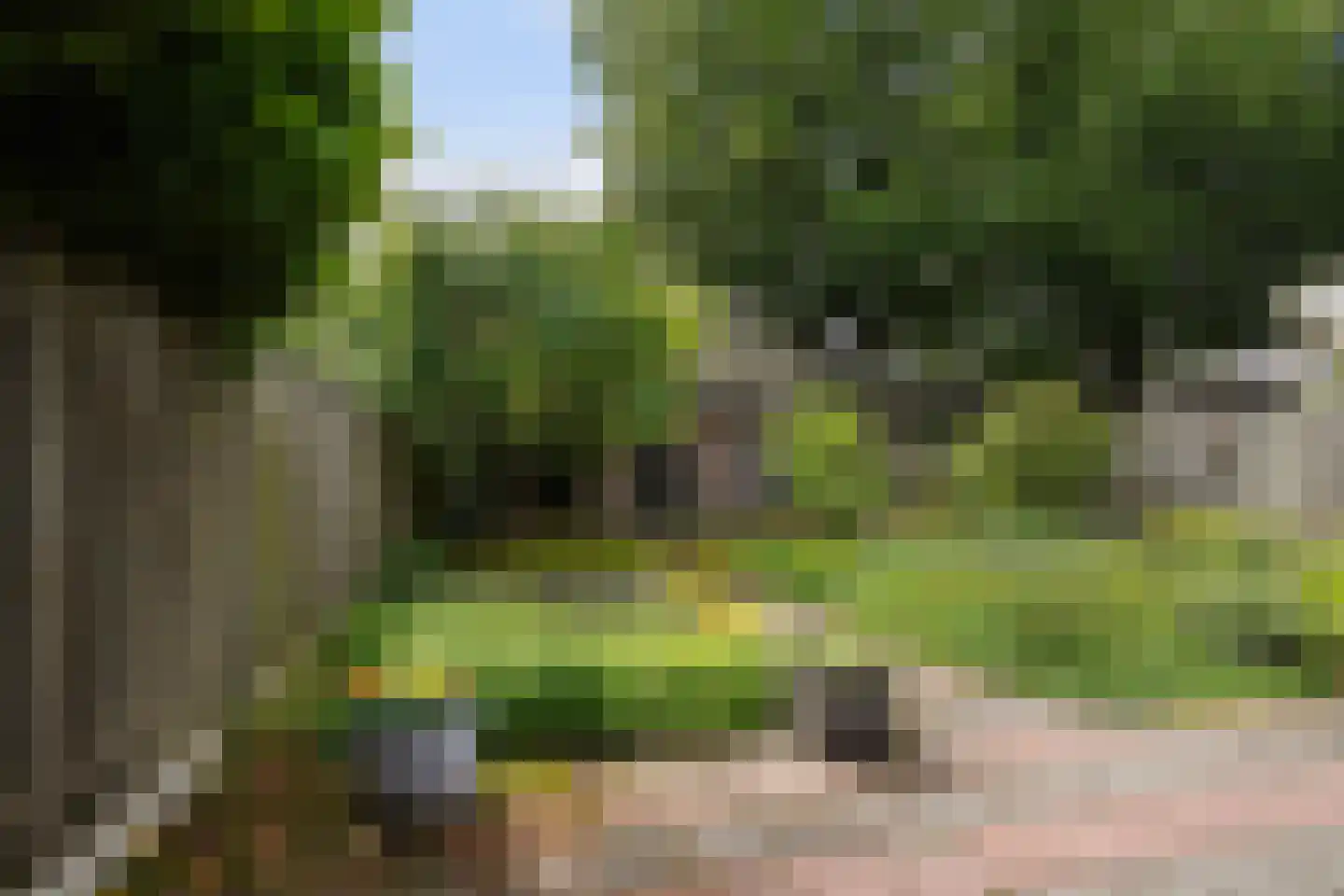 Schoolstraat 22 Oisterwijk thumbnail 42