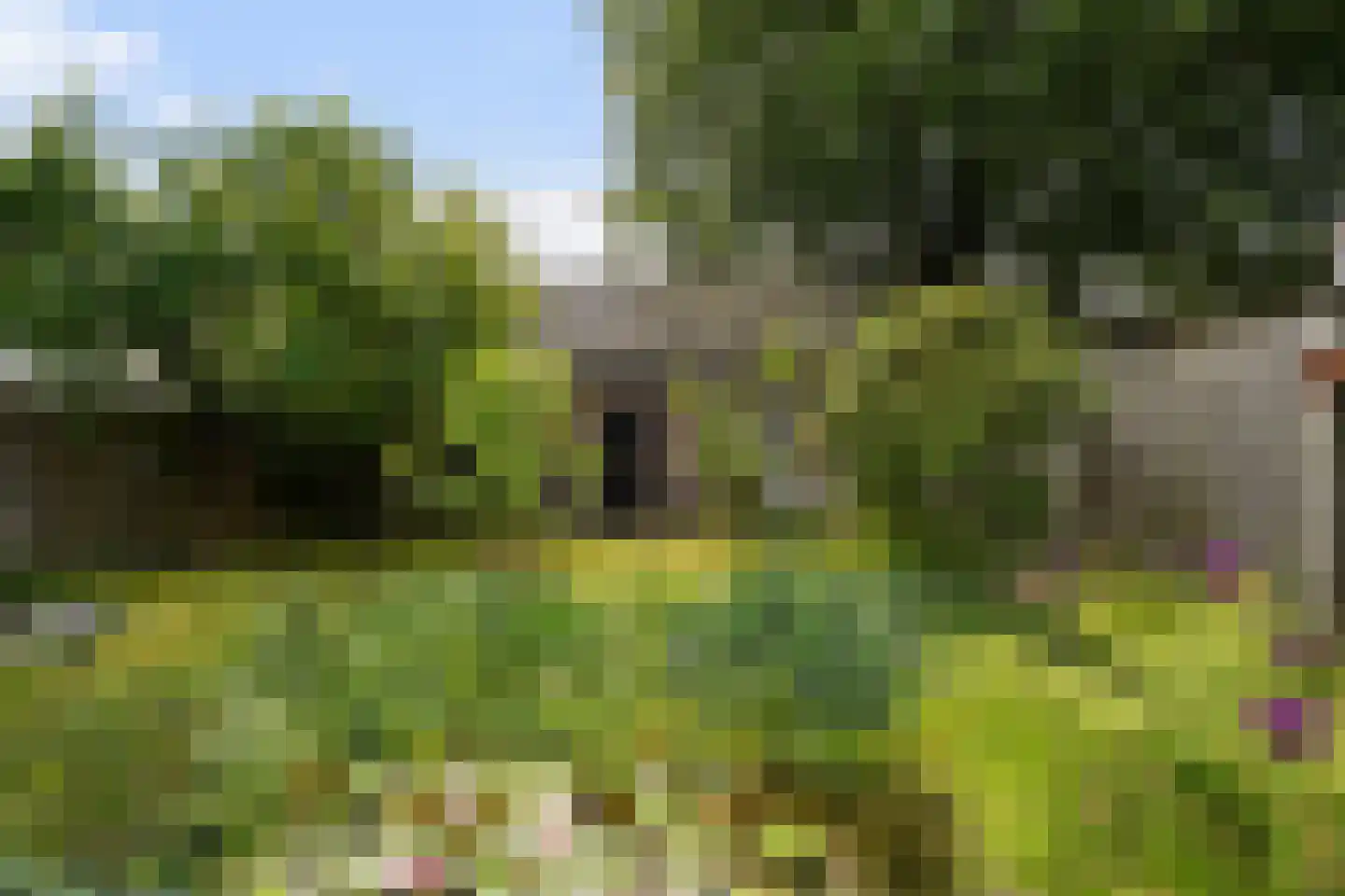 Schoolstraat 22 Oisterwijk thumbnail 45