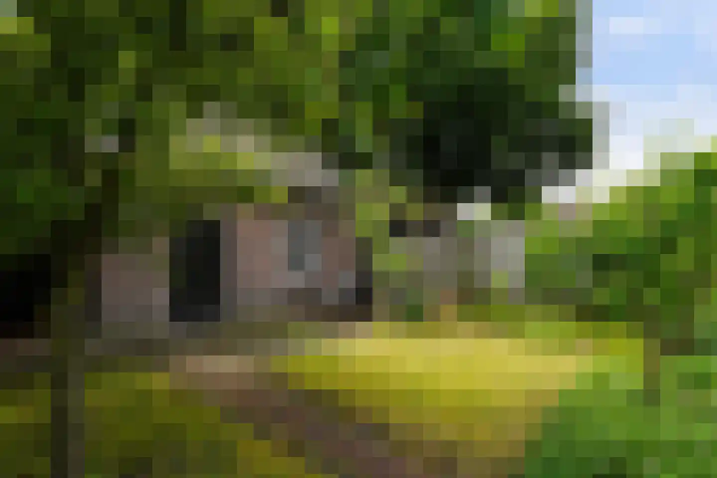 Schoolstraat 22 Oisterwijk thumbnail 46