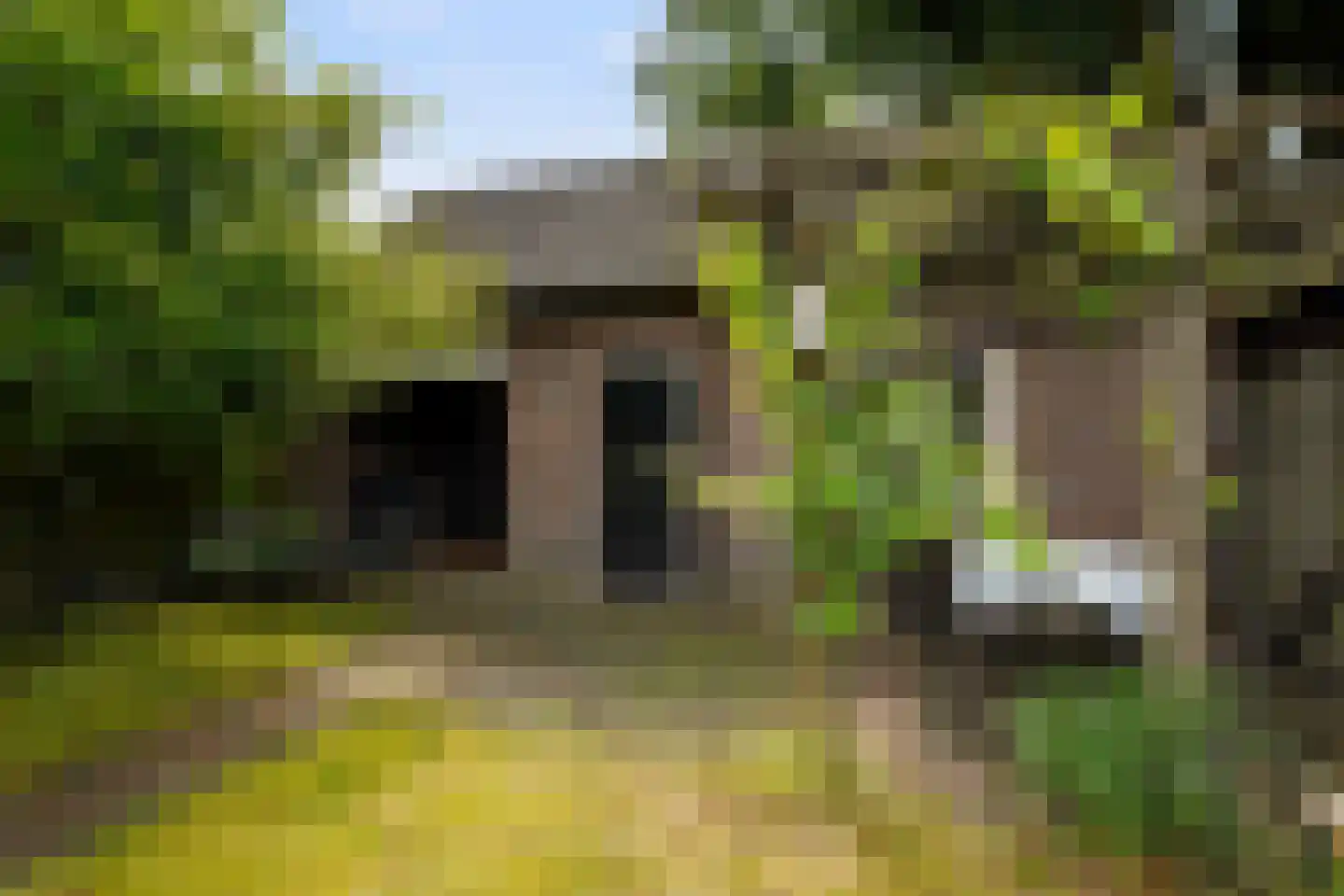 Schoolstraat 22 Oisterwijk thumbnail 47