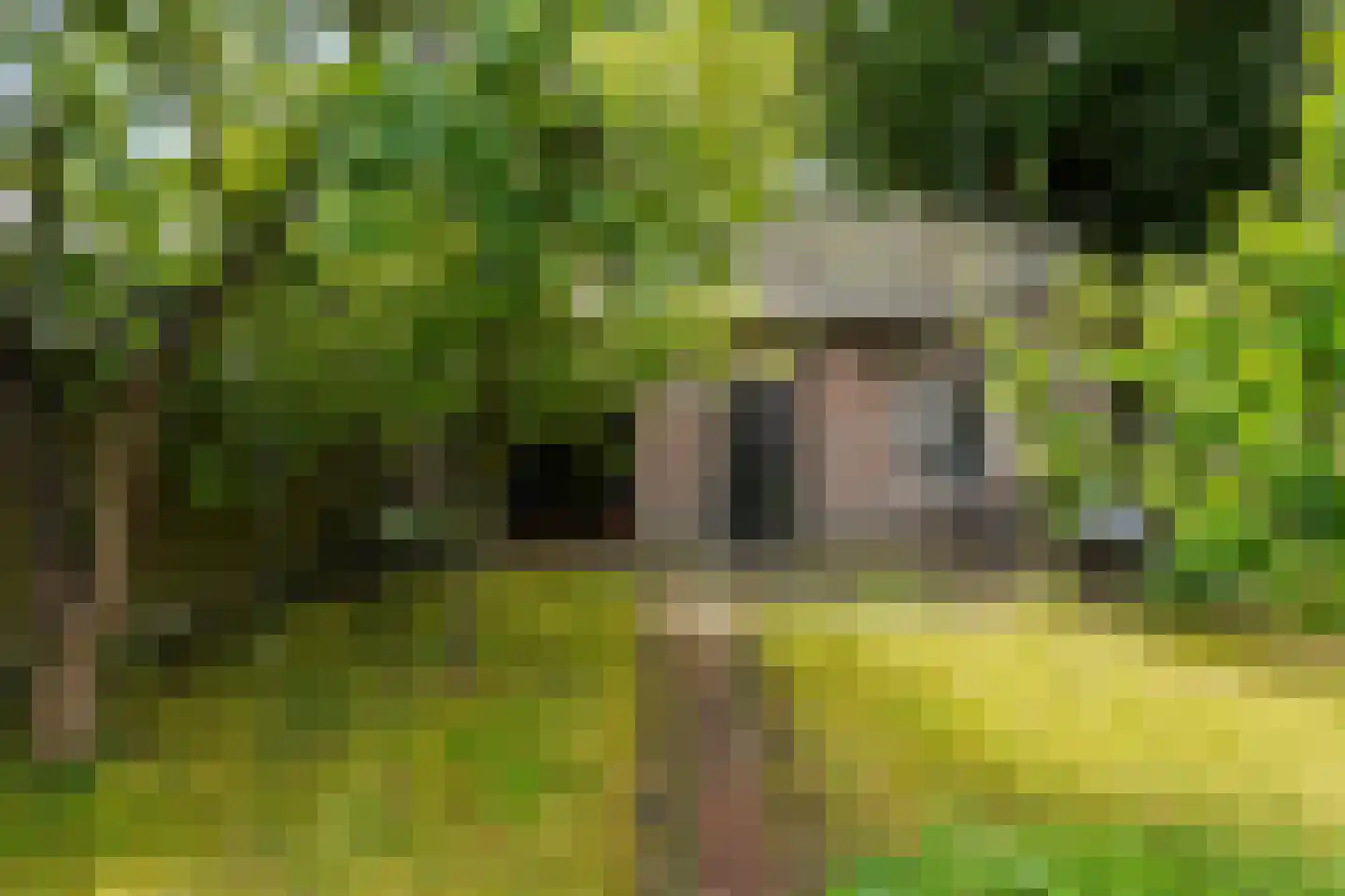 Schoolstraat 22 Oisterwijk thumbnail 48