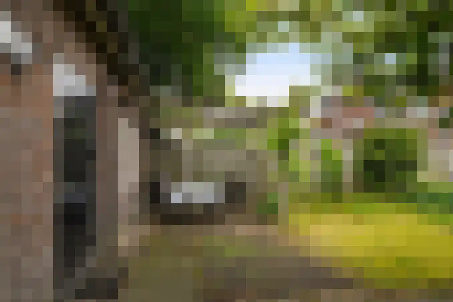 Schoolstraat 22 Oisterwijk thumbnail 51