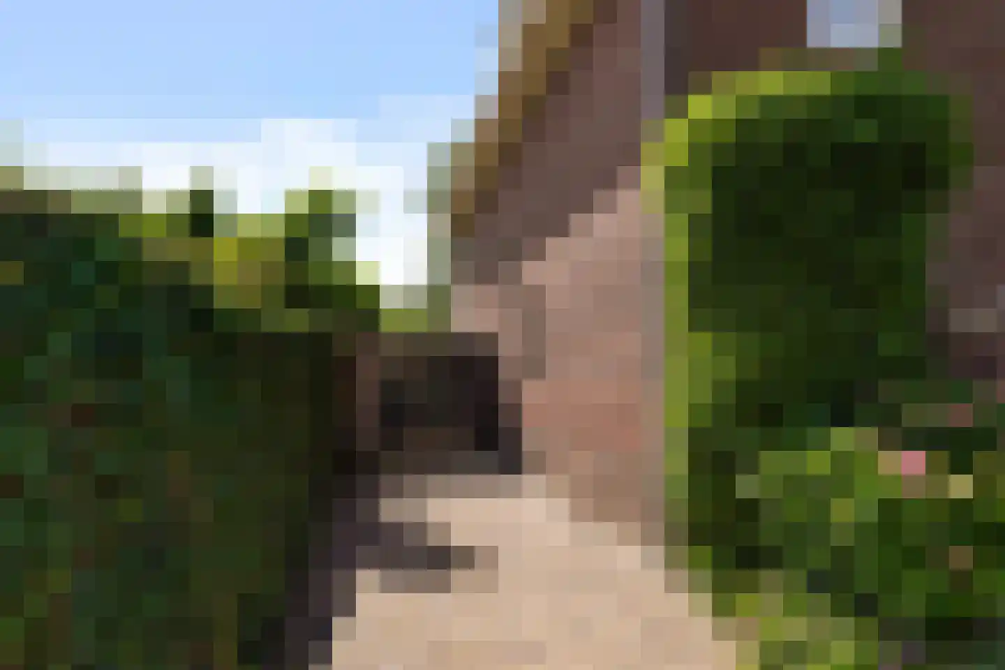 Schoolstraat 22 Oisterwijk thumbnail 57