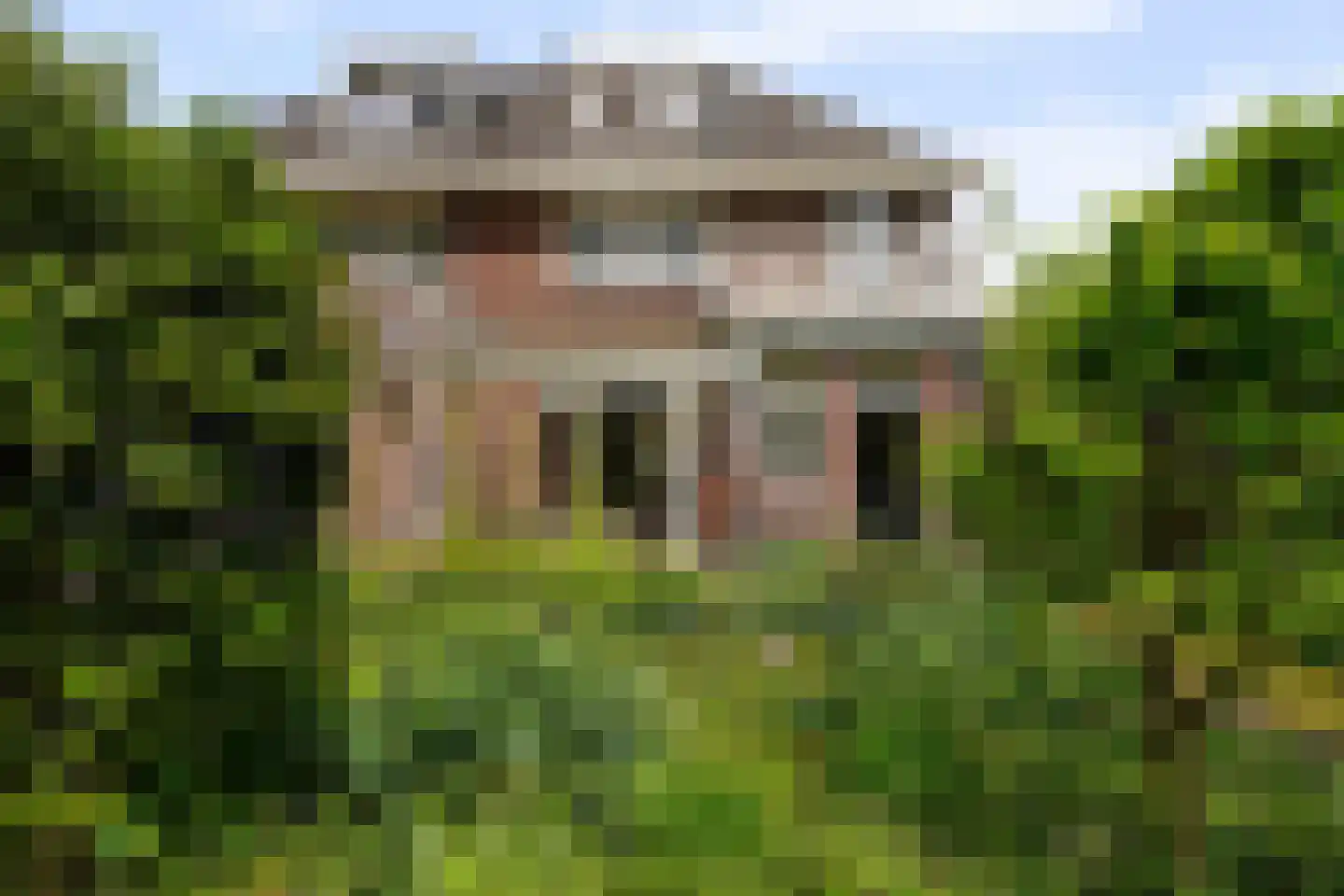 Schoolstraat 22 Oisterwijk thumbnail 6