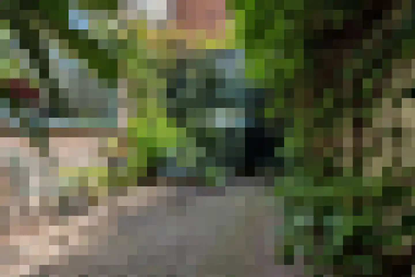 Schoolstraat 22 Rijswijk thumbnail 15