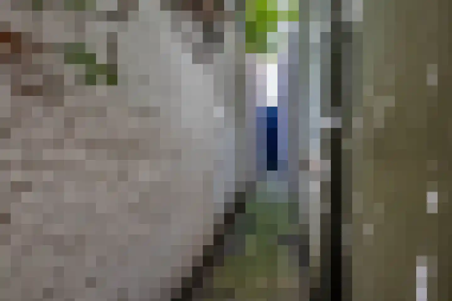 Schoolstraat 22 Rijswijk thumbnail 17