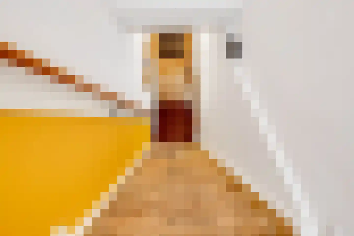 Schoolstraat 22 Rijswijk thumbnail 18
