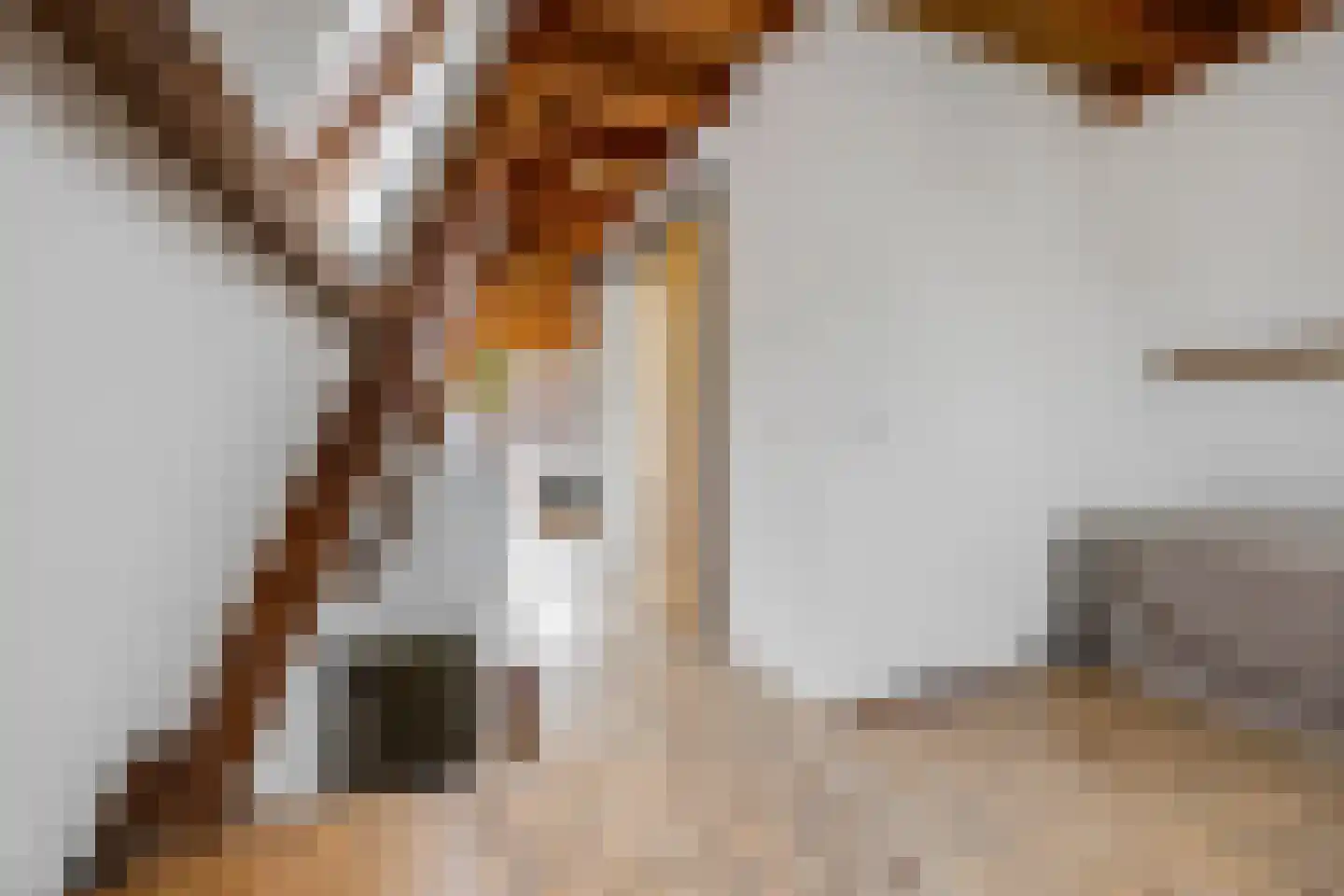 Schoolstraat 22 Rijswijk thumbnail 32