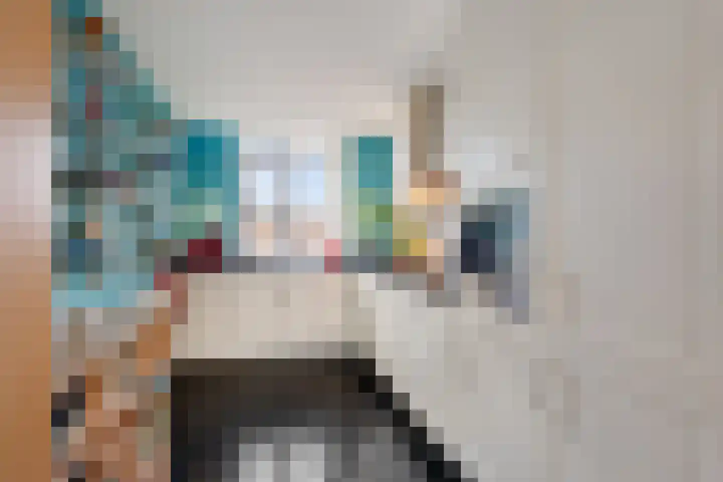 Schoolstraat 22 Zoetermeer thumbnail 4