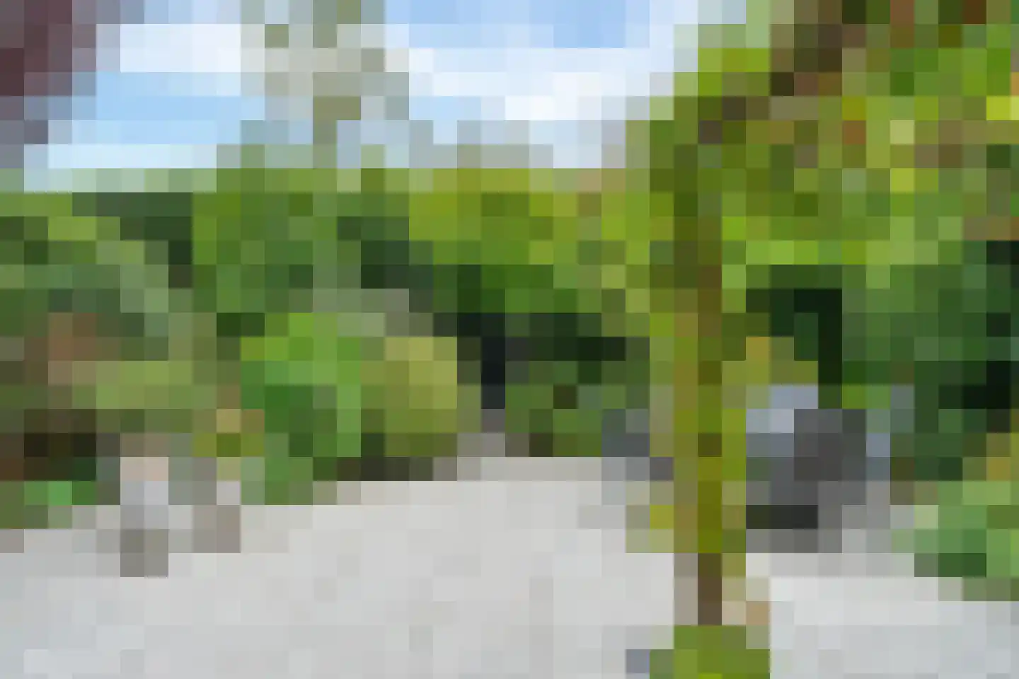 Schoolstraat 224 Voorschoten thumbnail 24