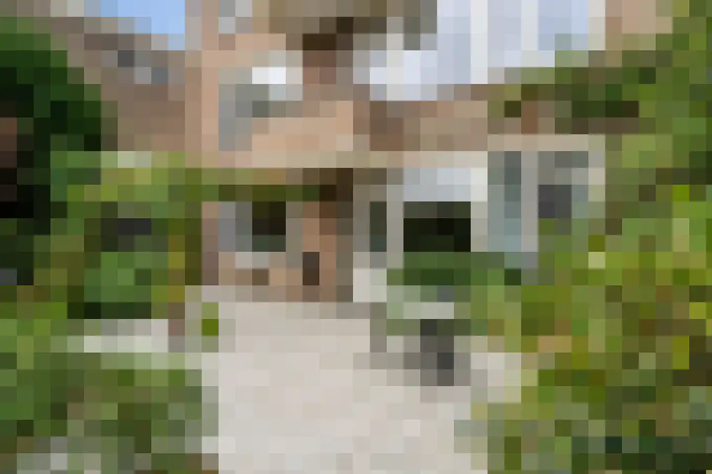 Schoolstraat 224 Voorschoten thumbnail 29