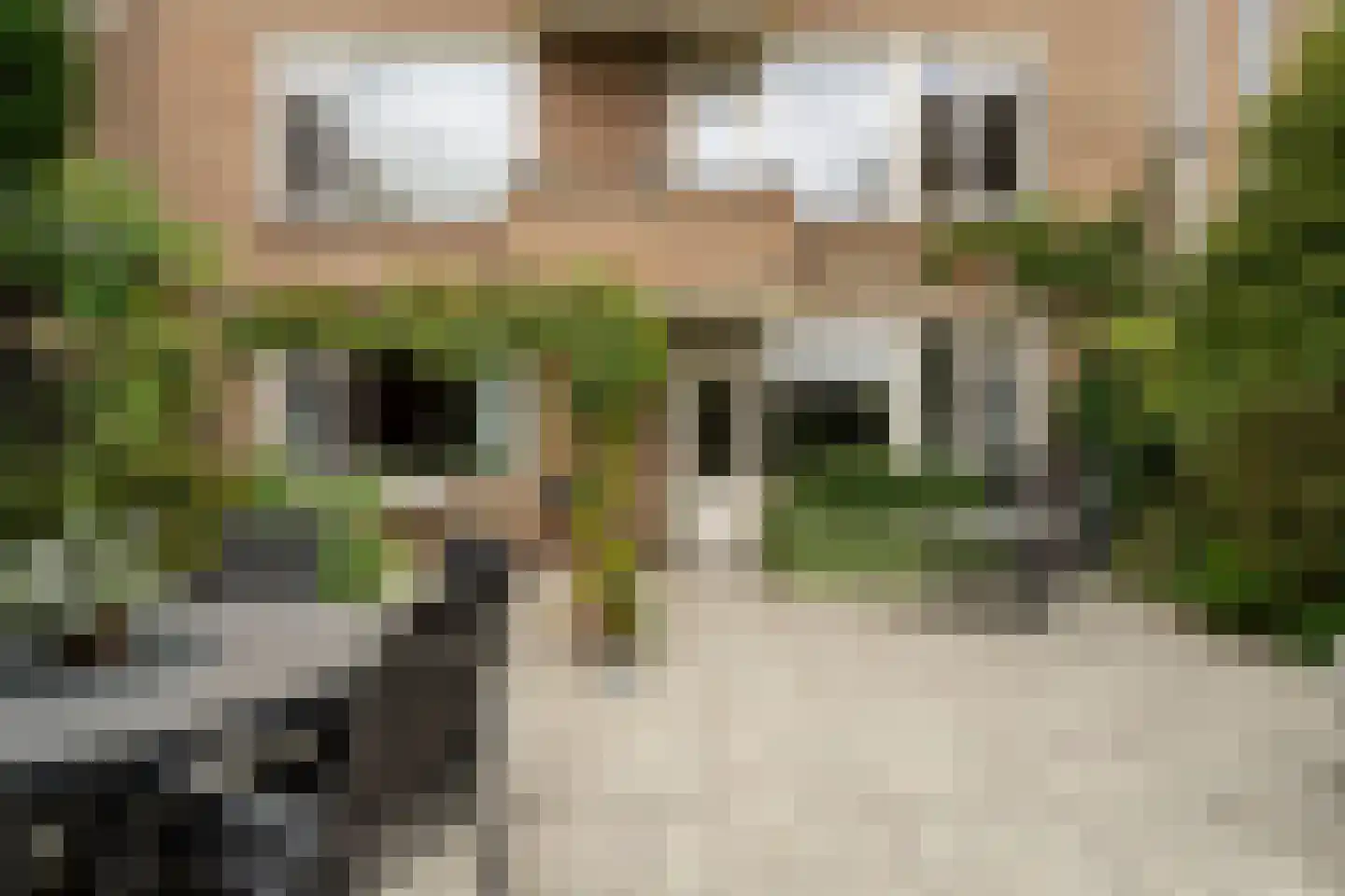 Schoolstraat 224 Voorschoten thumbnail 4