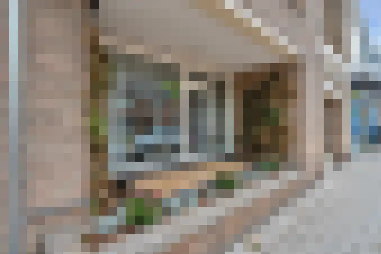 Schoolstraat 224 Voorschoten thumbnail 5