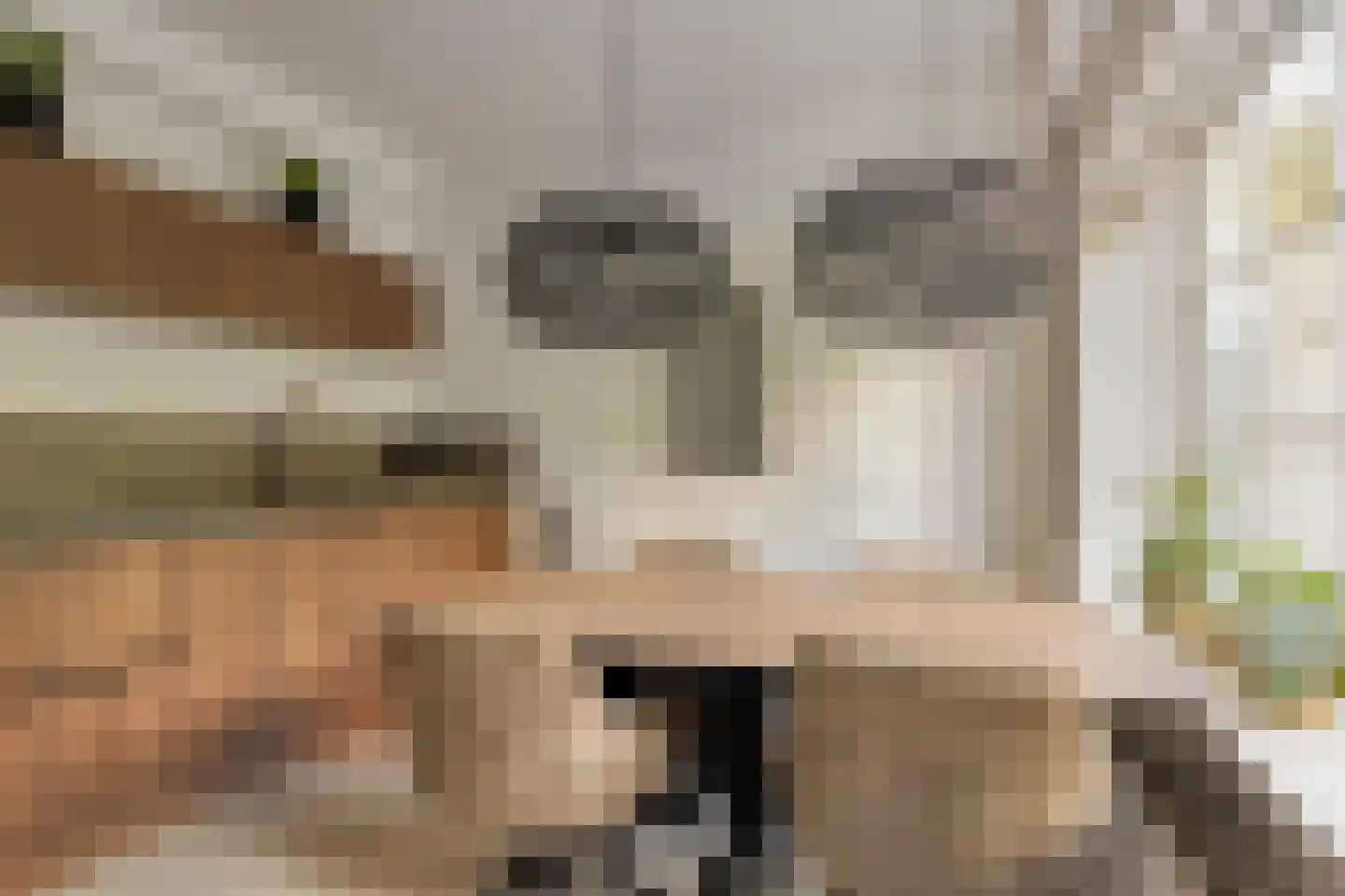 Schoolstraat 23 Nieuwerkerk aan den IJssel thumbnail 18