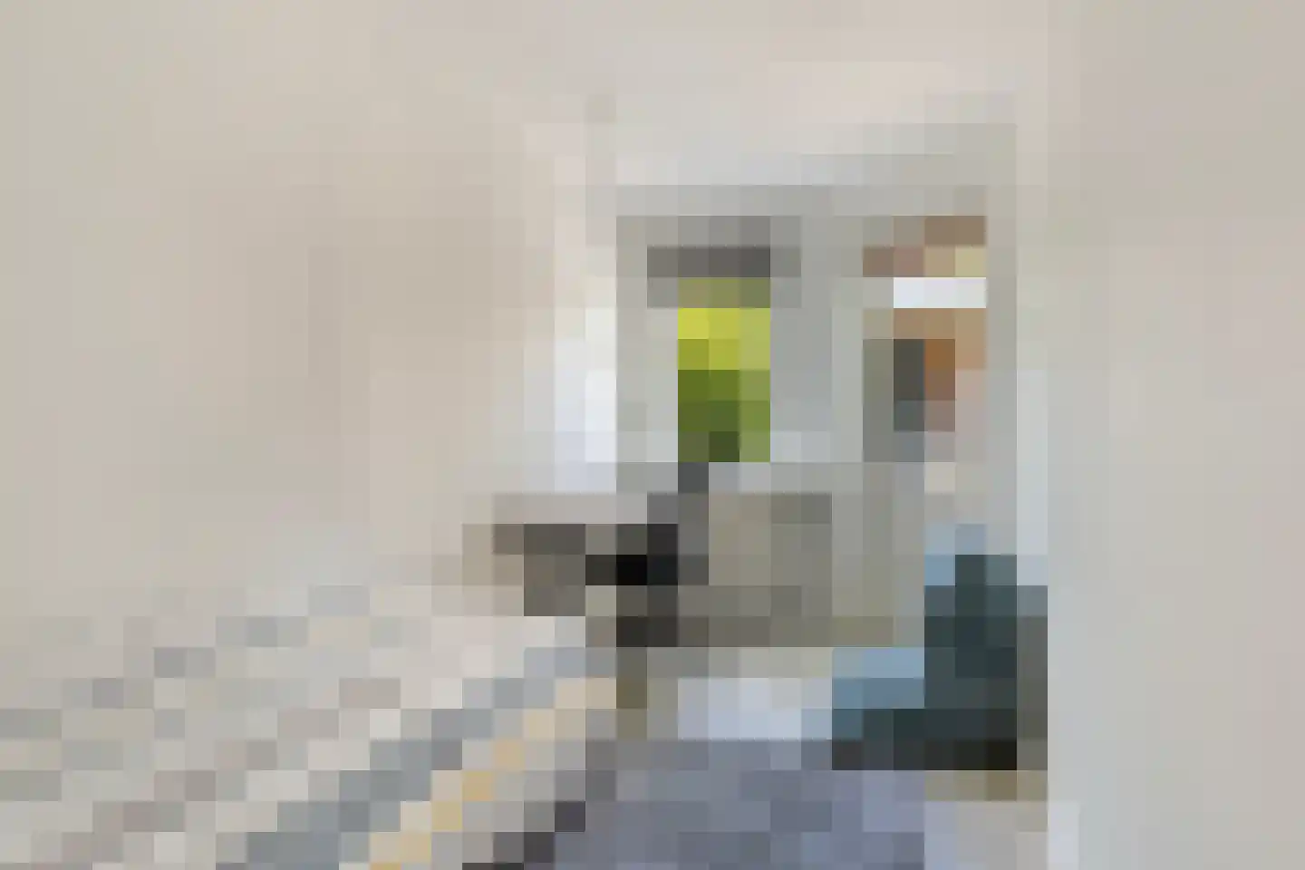 Schoolstraat 23 Nieuwerkerk aan den IJssel thumbnail 21