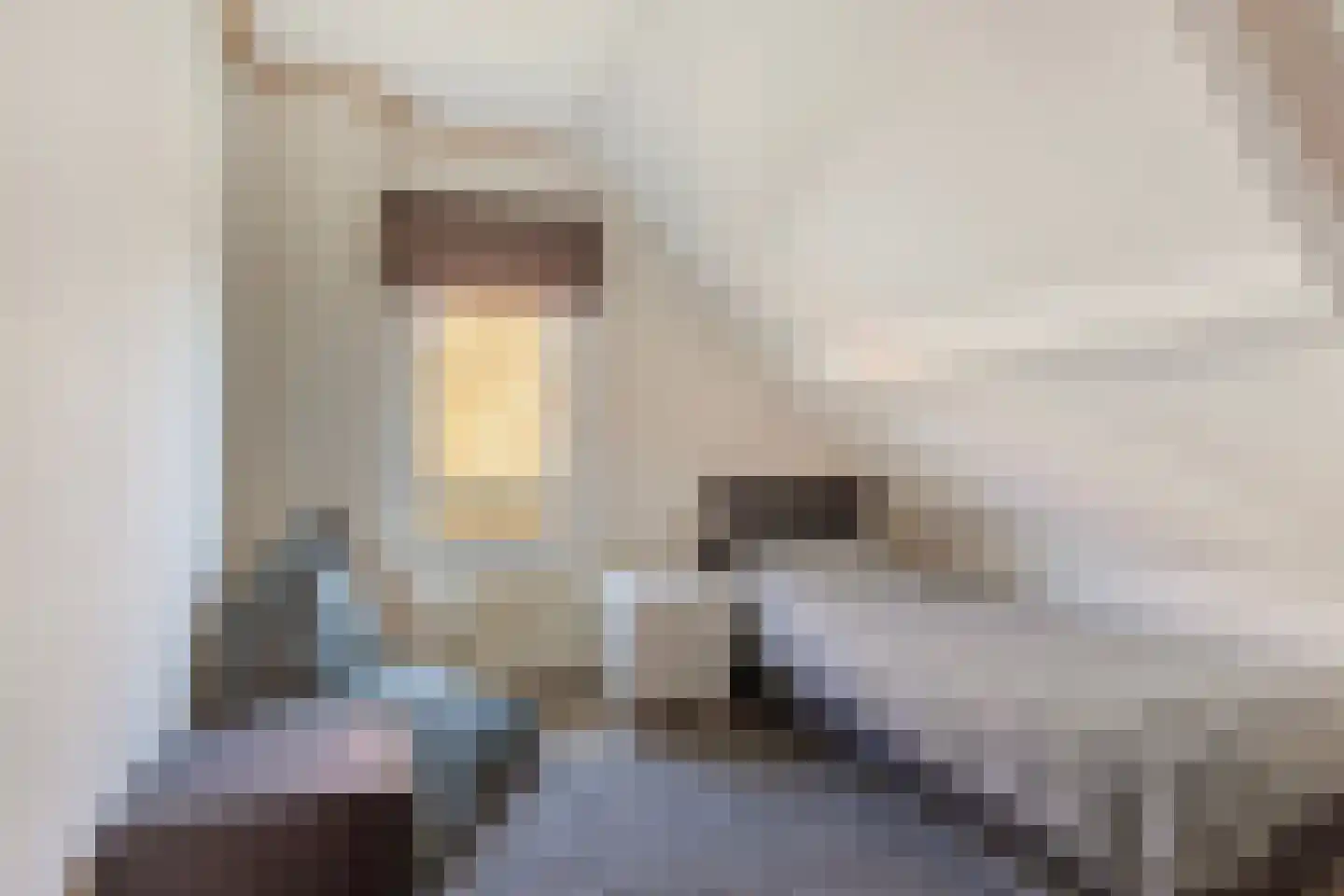 Schoolstraat 23 Nieuwerkerk aan den IJssel thumbnail 30