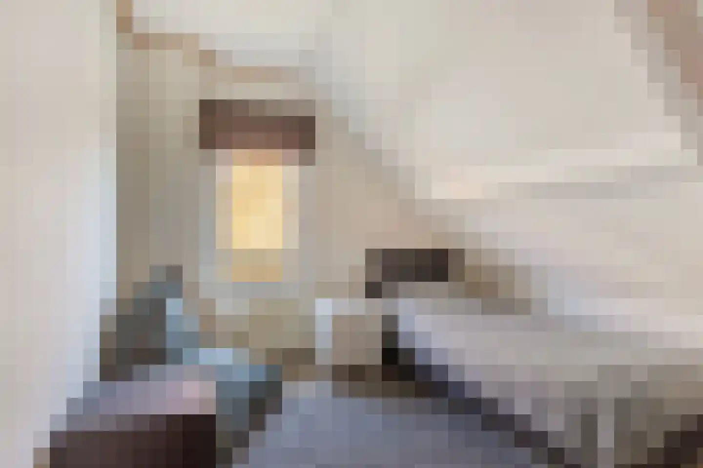 Schoolstraat 23 Nieuwerkerk aan den IJssel thumbnail 31