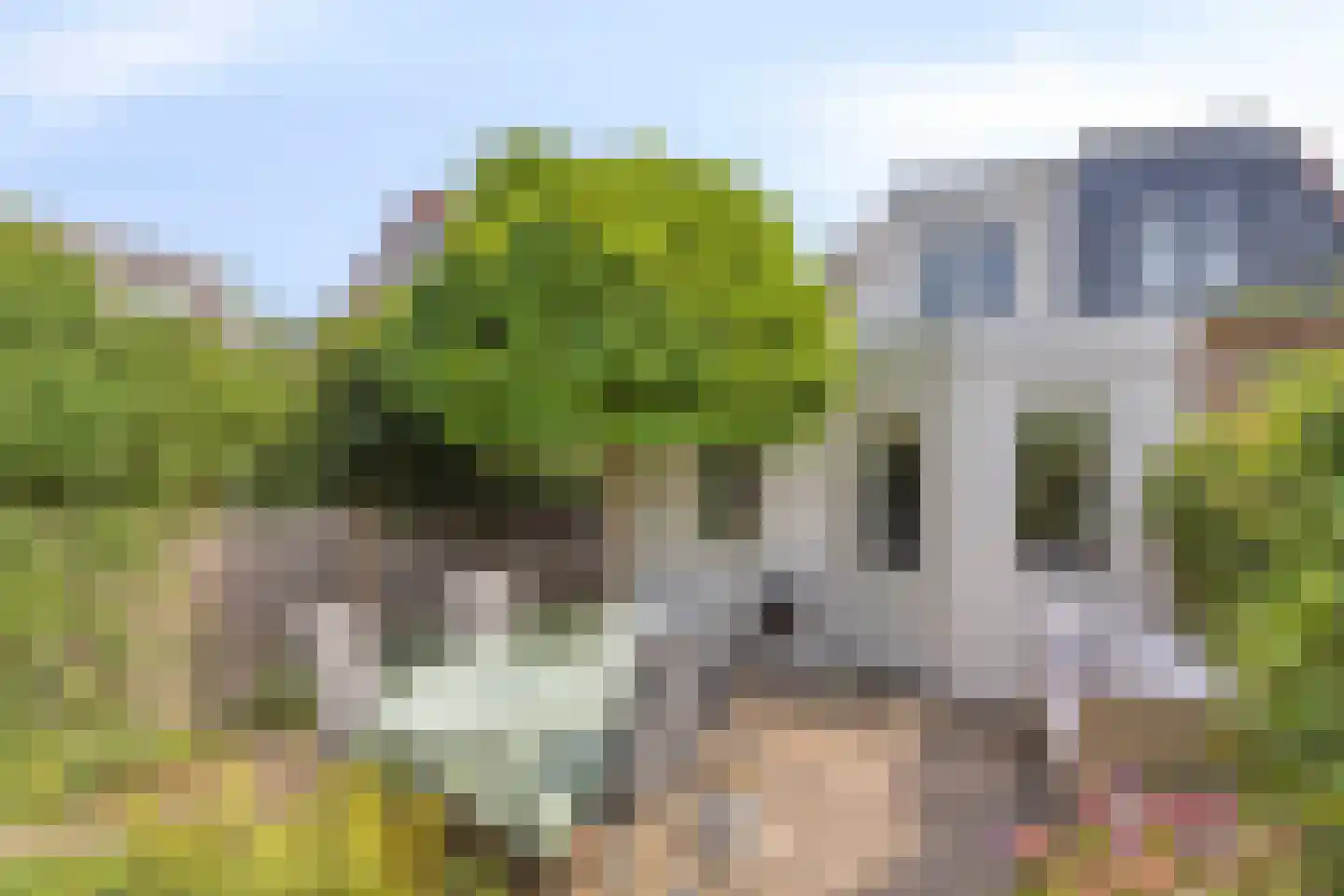 Schoolstraat 23 Nieuwerkerk aan den IJssel thumbnail 34