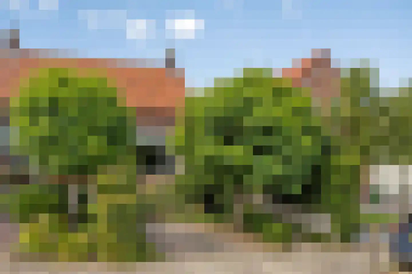 Schoolstraat 23 Nieuwerkerk aan den IJssel thumbnail 6