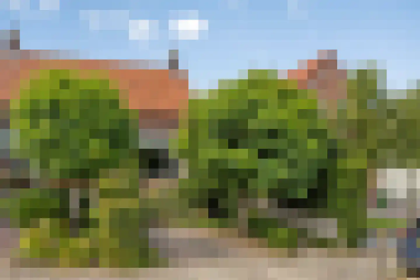 Schoolstraat 23 Nieuwerkerk aan den IJssel thumbnail 7