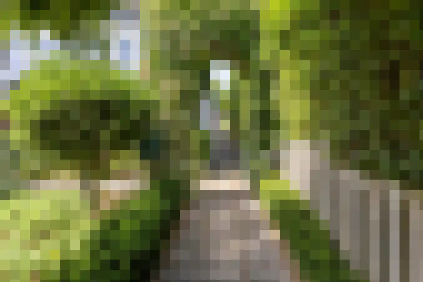 Schoolstraat 23 Nieuwerkerk aan den IJssel thumbnail 8