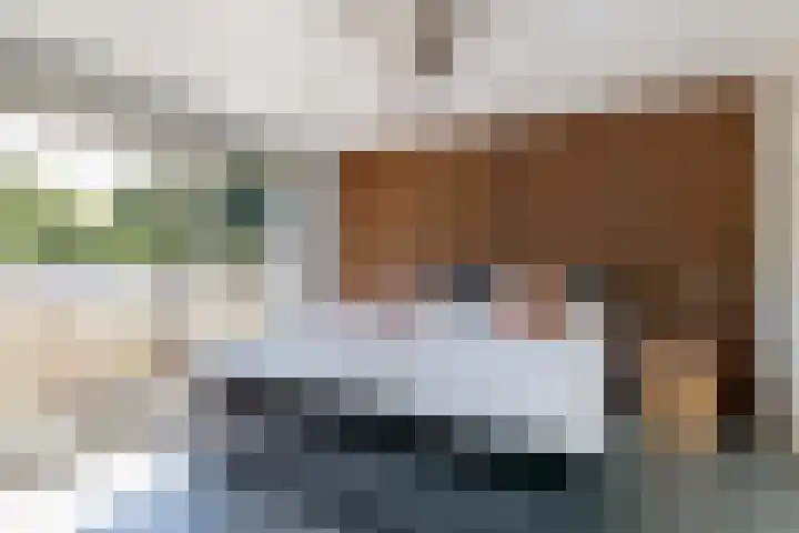 Schoolstraat 23 Vleuten thumbnail 10