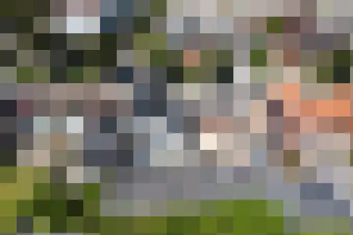 Schoolstraat 23 Vleuten thumbnail 30