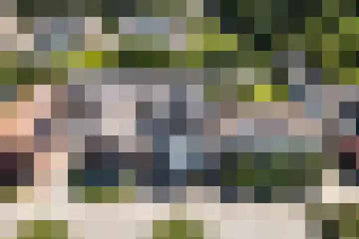 Schoolstraat 23 Vleuten thumbnail 31