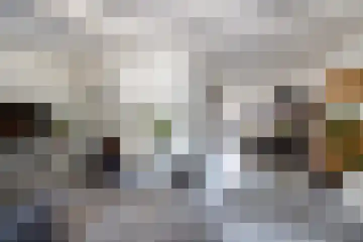 Schoolstraat 23 Vleuten thumbnail 4