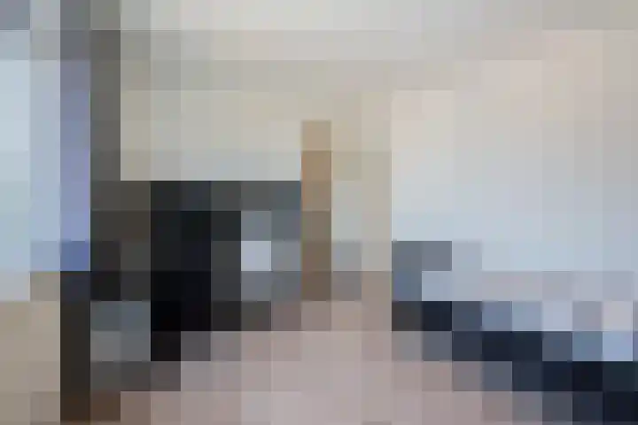 Schoolstraat 23 Zegge thumbnail 34