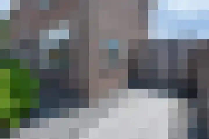 Schoolstraat 23 Zegge thumbnail 5