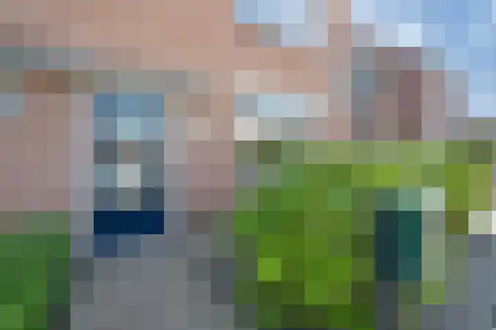 Schoolstraat 23 Zegge thumbnail 6