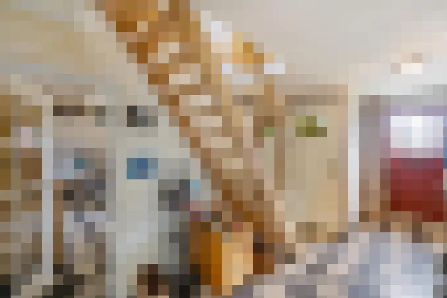 Schoolstraat 24 Annen thumbnail 15