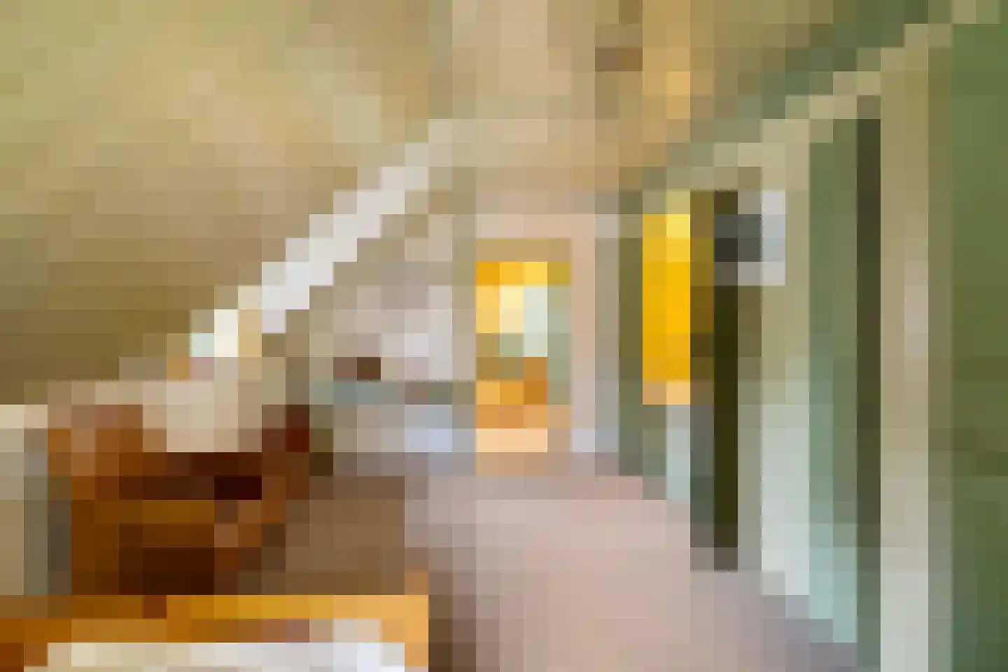 Schoolstraat 24 Annen thumbnail 47