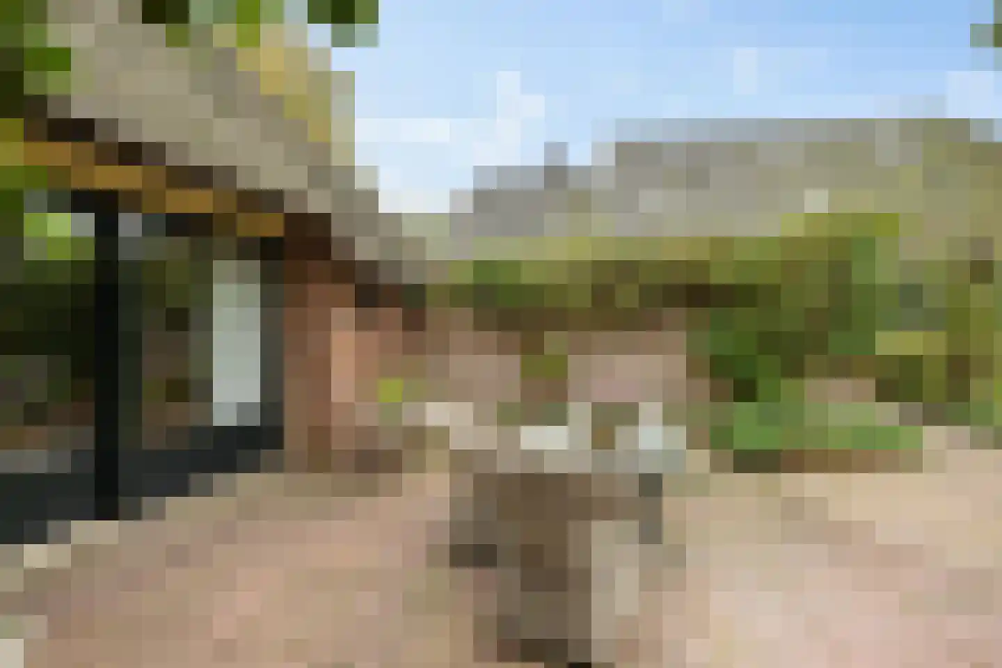 Schoolstraat 24 Annen thumbnail 56