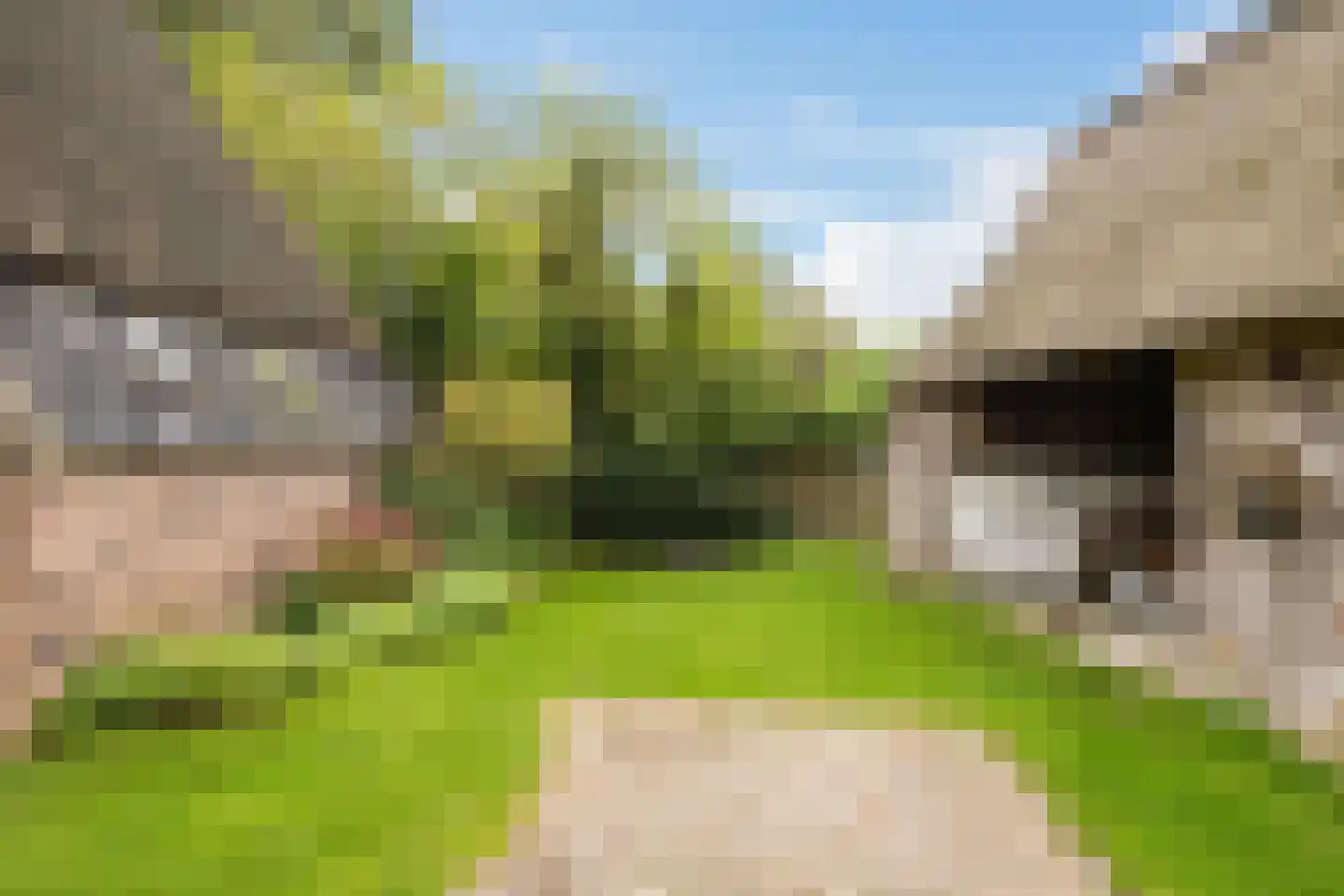 Schoolstraat 24 Annen thumbnail 61
