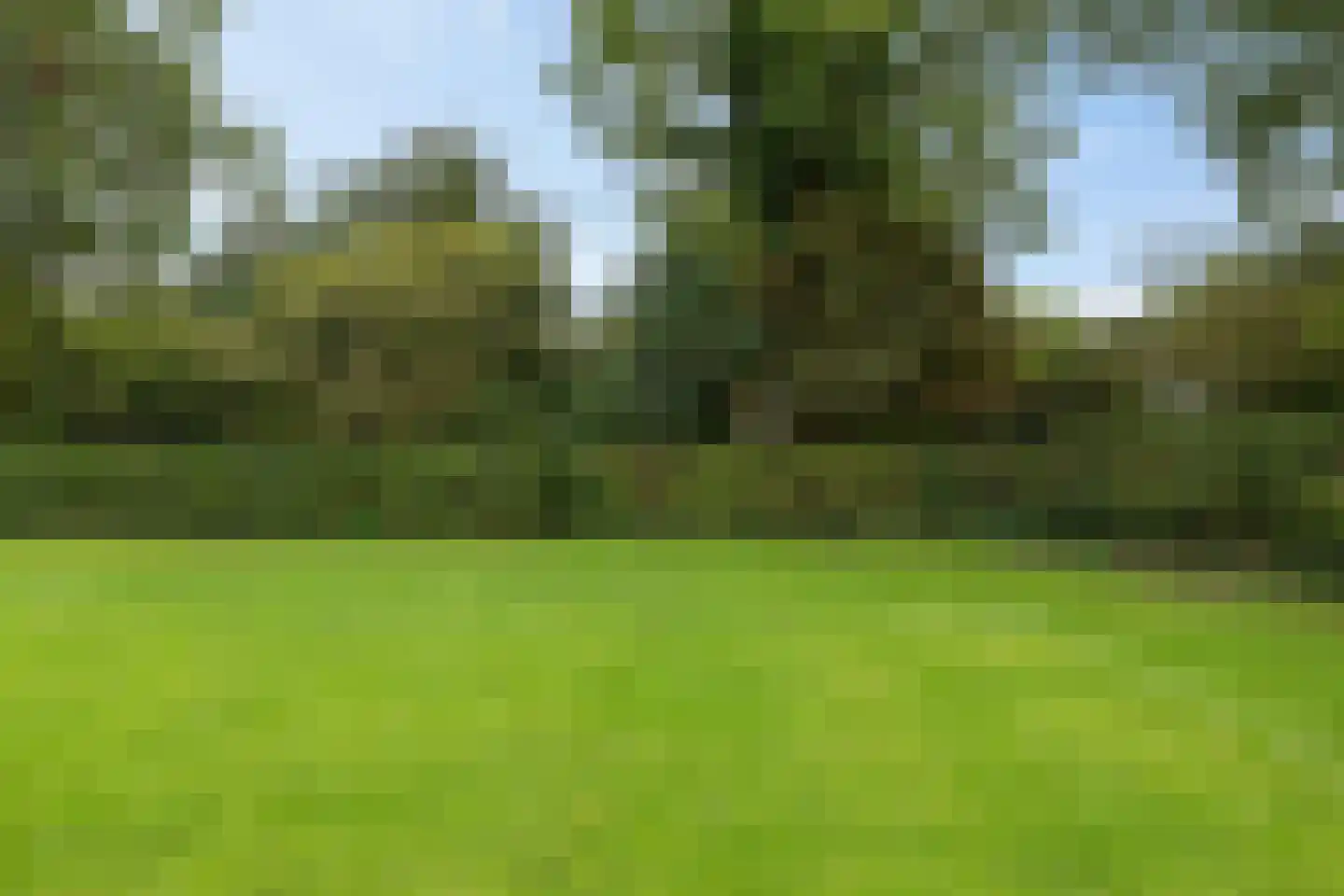 Schoolstraat 24 Annen thumbnail 69